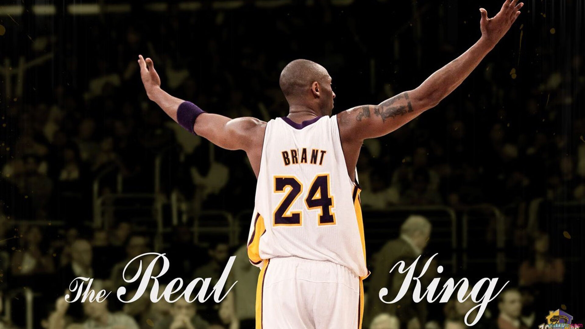 赛段操作揭秘：车手如何掌控复杂路况？，赛车比赛时车手如何平顺驾驶